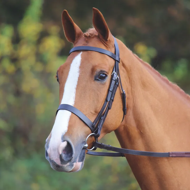 Shires Aviemore Plain Bridle Black